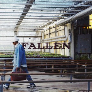 Fallen (Explicit)