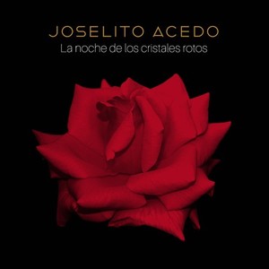 Joselito Acedo - La Noche de los Cristales Rotos