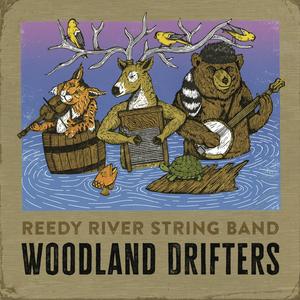 Comfortably Numb (feat. Scott Vestal)