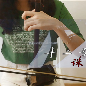 【二胡】十二号诛杀者