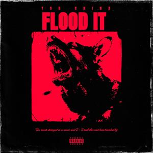 FLOOD IT (Explicit)