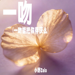一吻（一吻能把你俘获么）-小野Zelo
