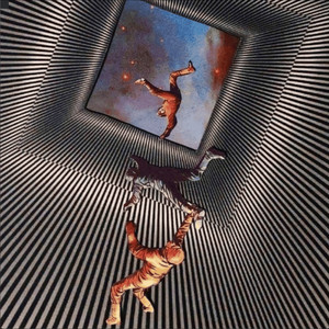 Groovy Cycle