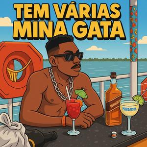 TEM VARIAS MINA GATA (feat. MC RONINHO DA VP) (Explicit)