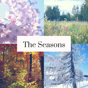 The Seasons, Op. 37a, TH 135 - The Seasons, Op. 37a, TH 135: VIII. August - Harvest (12首特性小品《四季》，Op. 37a, TH 135)