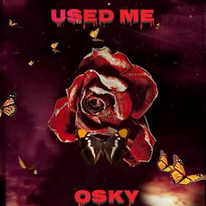 Used Me (Explicit)