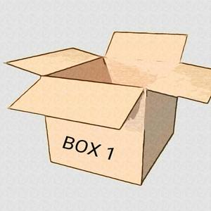 Box 1