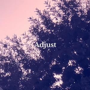 Adjust