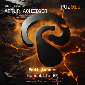 Gooseblip (Artur Achziger Remix)