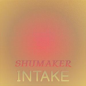 Shumaker Intake