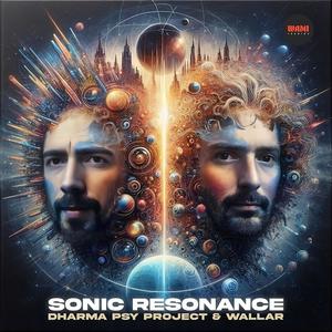 Sonic Resonance