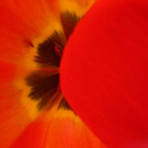 Sun(feat. Solveig Sørbø) (Ilkama Remix)