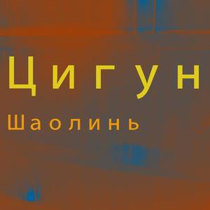 Цигун 11