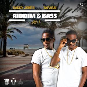 Riddim & Bass, Vol. 1