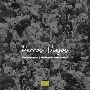 Perros Viejos (feat. Nickiezz)
