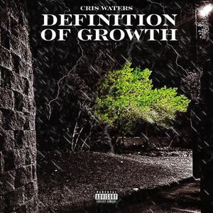 Definition Of Growth (Explicit)