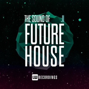 The Sound Of Future House, Vol. 11 (Explicit)