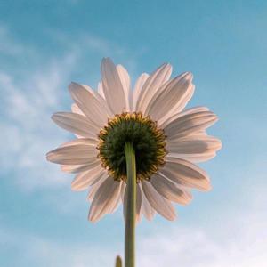 第一次爱的人 (片段版)