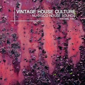 Vintage House Culture, Vol. 2 - Nu Disco House Sounds (Explicit)