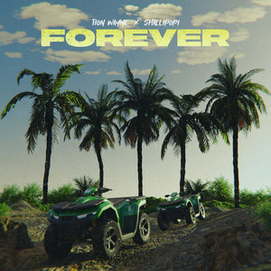 Forever (feat. Shallipopi) [Explicit]