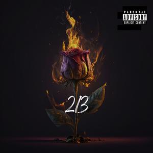 213 (Explicit)