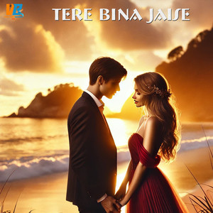 Tere Bina Jaise