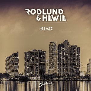 Bird (Original Mix)