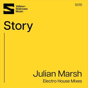 Story (Electro House Mixes)