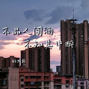 不品人间酒不知其中醉