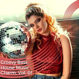 Groovy Bass House Music Charm, Vol. 01