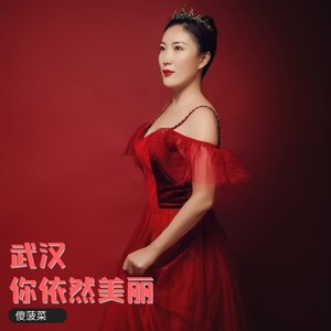武汉你依然美丽 (伴奏)
