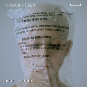 Not a Toy (Original Mix)