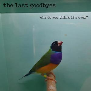 Why do you think it's over? (feat. alexbakermusic)