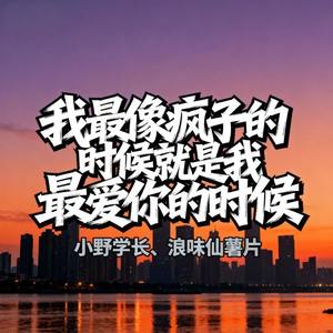 我最像疯子的时候就是我最爱你的时候