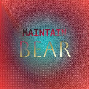 Maintain Bear