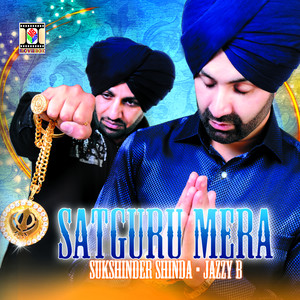 Aeh Pagri Sardara