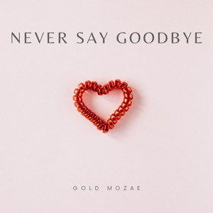 Never Say Goodbye