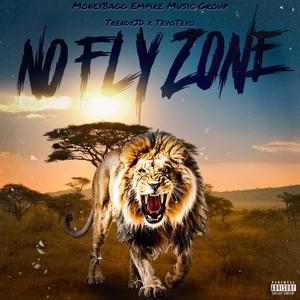 No Fly Zone (Explicit)