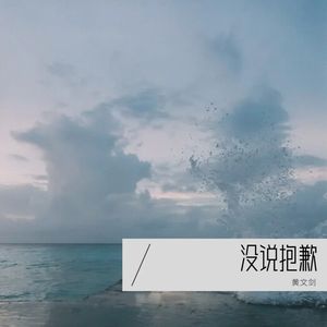 没说抱歉 (Demo)