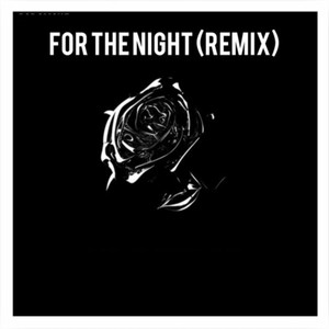 For the Night Remix
