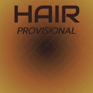 Hair Provisional