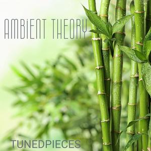 AMBIENT THEORY (feat. ERIC MCCAINE)