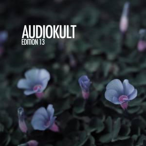 Audiokult Edition 13