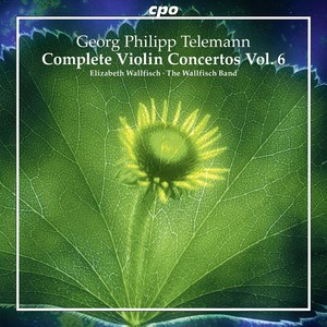 Concerto for 2 Violins, Viola and Violone in A Major, TWV 40:200 - I. Affettuoso