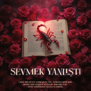 Sevmek Yanlıştı