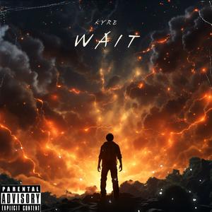 Wait (Explicit)