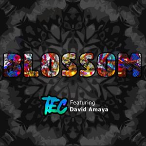Blossom(feat. David Amaya) (Explicit)