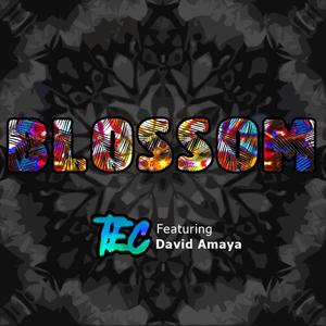 Blossom (feat. David Amaya) [Explicit]