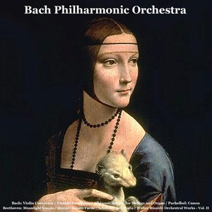 Bach: Violin Concertos / Vivaldi: Concertos / Albinoni: Adagio for Strings and Organ / Pachelbel: Canon / Beethoven: Moonlight Sonata / Mozart: Sonata Facile / Schubert: Ave Maria / Walter Rinaldi: Orchestral Works, Vol. II