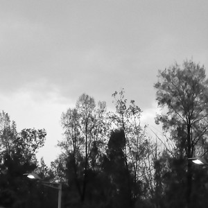 9:99am (Demo)